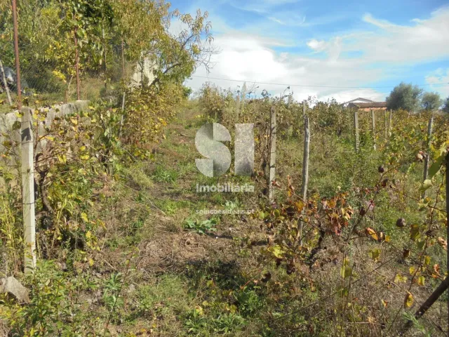 Terreno Urbano T0 - Poiares (Santo Andr�), Vila Nova de Poiares, Coimbra - Miniatura: 5/11