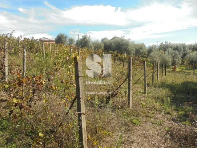 Terreno Urbano T0 - Poiares (Santo Andr�), Vila Nova de Poiares, Coimbra - Miniatura: 6/11