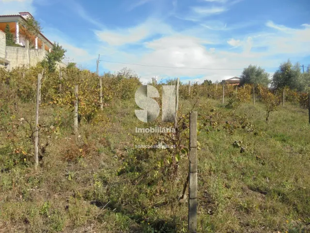 Terreno Urbano T0 - Poiares (Santo Andr�), Vila Nova de Poiares, Coimbra - Miniatura: 7/11