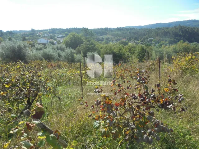 Terreno Urbano T0 - Poiares (Santo Andr�), Vila Nova de Poiares, Coimbra - Miniatura: 8/11