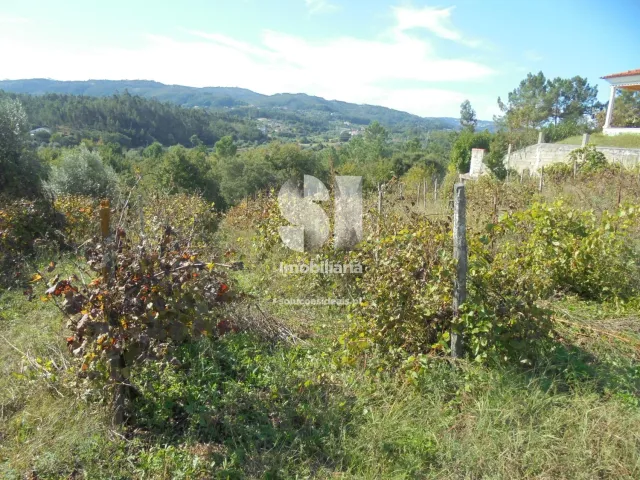 Terreno Urbano T0 - Poiares (Santo Andr�), Vila Nova de Poiares, Coimbra - Miniatura: 10/11