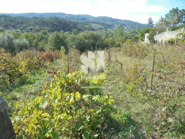 Terreno Urbano T0 - Poiares (Santo Andr�), Vila Nova de Poiares, Coimbra - Miniatura: 11/11