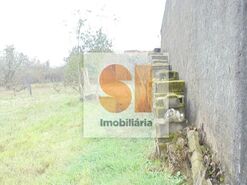 Terreno R�stico T0 - Arrifana, Vila Nova de Poiares, Coimbra - Miniatura: 9/33