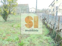 Terreno R�stico T0 - Arrifana, Vila Nova de Poiares, Coimbra - Miniatura: 10/33