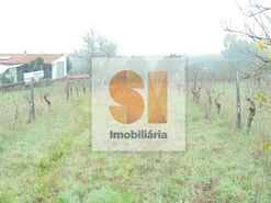 Terreno R�stico T0 - Arrifana, Vila Nova de Poiares, Coimbra - Miniatura: 16/33
