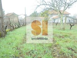 Terreno R�stico T0 - Arrifana, Vila Nova de Poiares, Coimbra - Miniatura: 21/33