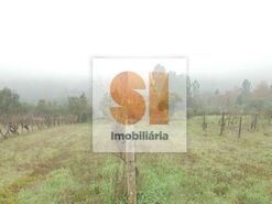 Terreno R�stico T0 - Arrifana, Vila Nova de Poiares, Coimbra - Miniatura: 29/33