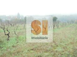 Terreno R�stico T0 - Arrifana, Vila Nova de Poiares, Coimbra - Miniatura: 30/33