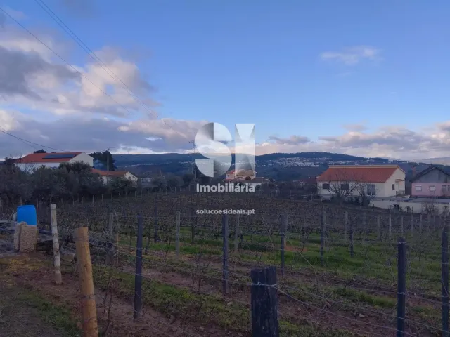 Terreno Urbano T0 - Vilarinho de S�o Rom�o, Sabrosa, Vila Real - Miniatura: 4/7