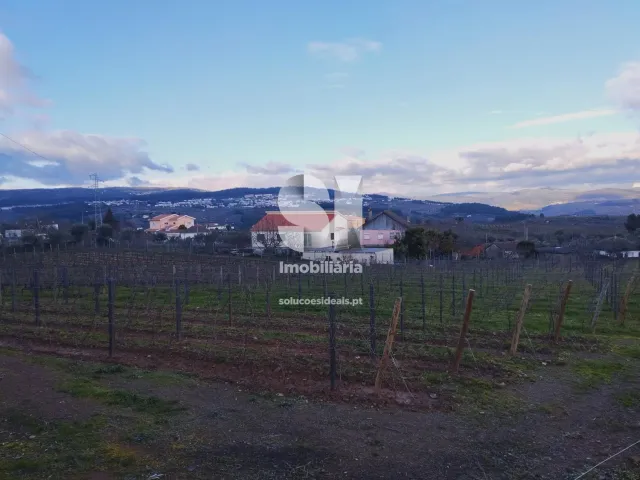 Terreno Urbano T0 - Vilarinho de S�o Rom�o, Sabrosa, Vila Real - Miniatura: 5/7