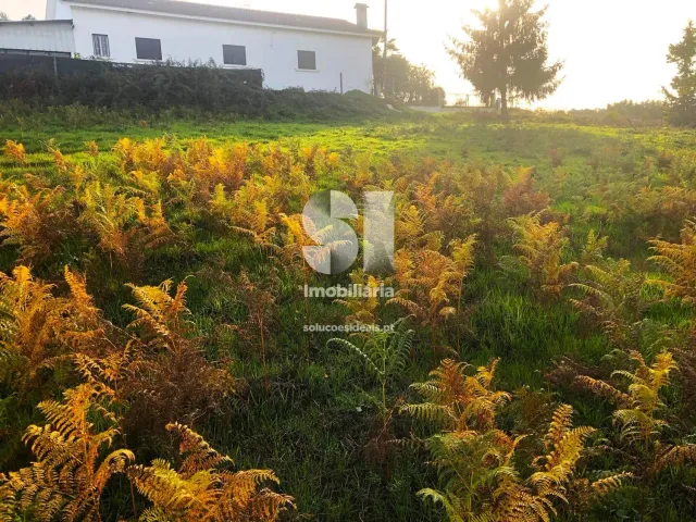 Terreno Urbano T0 - Pa�os, Sabrosa, Vila Real - Miniatura: 3/14