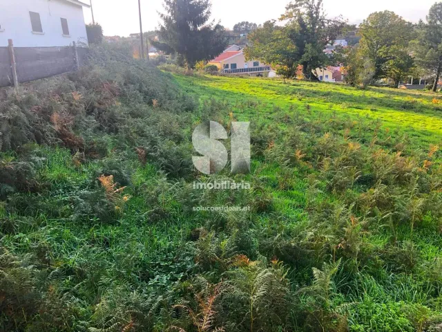 Terreno Urbano T0 - Pa�os, Sabrosa, Vila Real - Miniatura: 4/14