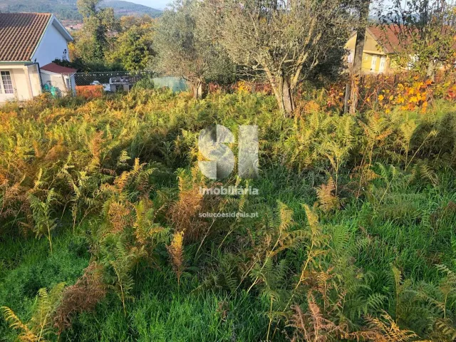 Terreno Urbano T0 - Pa�os, Sabrosa, Vila Real - Miniatura: 6/14