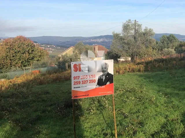 Terreno Urbano T0 - Pa�os, Sabrosa, Vila Real - Miniatura: 12/14