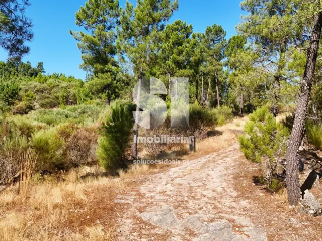 Terreno Urbano T0 - Vilar de Ma�ada, Alij�, Vila Real - Miniatura: 1/19