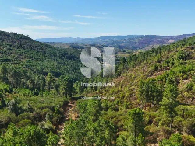 Terreno Urbano T0 - Vilar de Ma�ada, Alij�, Vila Real - Miniatura: 2/19