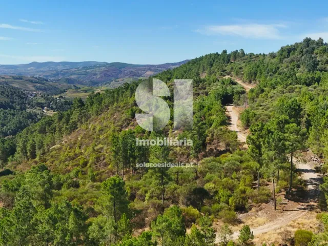 Terreno Urbano T0 - Vilar de Ma�ada, Alij�, Vila Real - Miniatura: 3/19