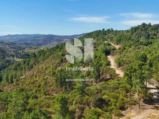 Terreno Urbano T0 - Vilar de Ma�ada, Alij�, Vila Real - Miniatura: 4/19