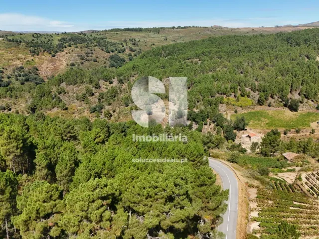 Terreno Urbano T0 - Vilar de Ma�ada, Alij�, Vila Real - Miniatura: 5/19