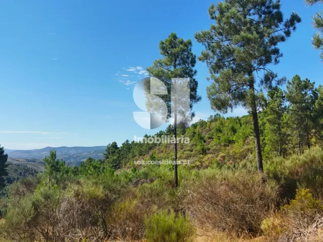 Terreno Urbano T0 - Vilar de Ma�ada, Alij�, Vila Real - Miniatura: 6/19