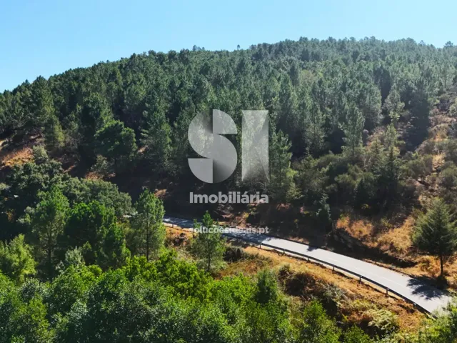 Terreno Urbano T0 - Vilar de Ma�ada, Alij�, Vila Real - Miniatura: 7/19