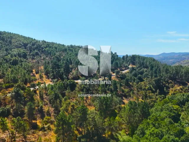 Terreno Urbano T0 - Vilar de Ma�ada, Alij�, Vila Real - Miniatura: 13/19