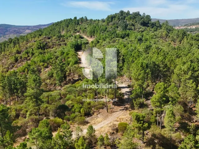 Terreno Urbano T0 - Vilar de Ma�ada, Alij�, Vila Real - Miniatura: 15/19