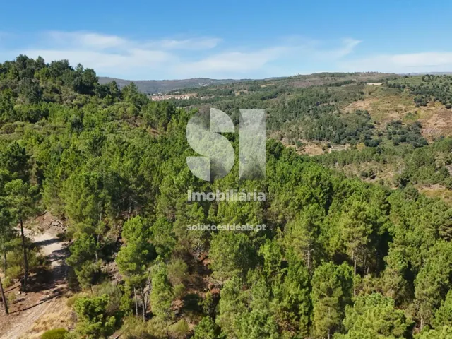 Terreno Urbano T0 - Vilar de Ma�ada, Alij�, Vila Real - Miniatura: 16/19