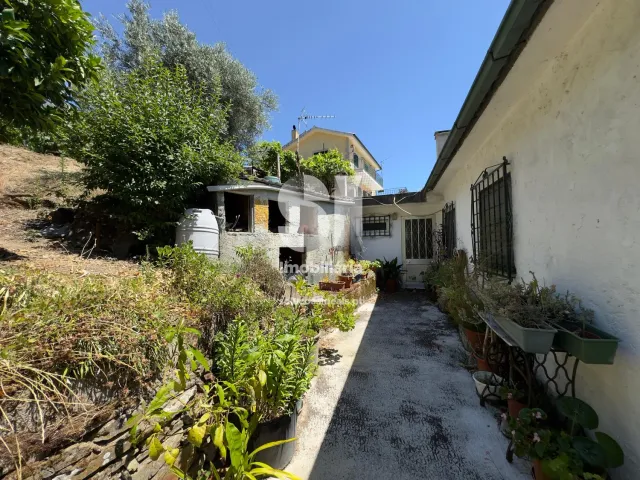 Moradia T4 - Covas do Douro, Sabrosa, Vila Real - Miniatura: 4/24