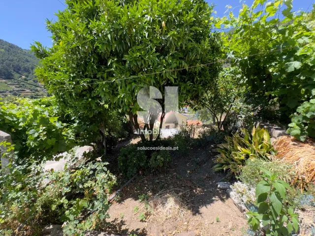 Moradia T4 - Covas do Douro, Sabrosa, Vila Real - Miniatura: 17/24