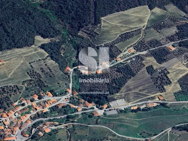 Moradia T4 - Covas do Douro, Sabrosa, Vila Real - Miniatura: 23/24