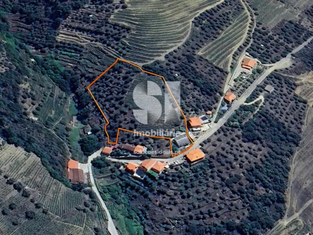 Moradia T4 - Covas do Douro, Sabrosa, Vila Real - Miniatura: 24/24