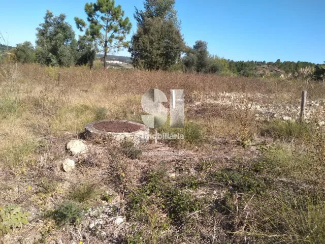 Terreno Urbano T0 - Eiras, Coimbra, Coimbra - Miniatura: 4/9