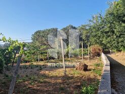 Terreno R�stico T0 - Astromil, Paredes, Porto - Miniatura: 2/46