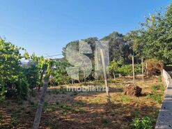 Terreno R�stico T0 - Astromil, Paredes, Porto - Miniatura: 3/46