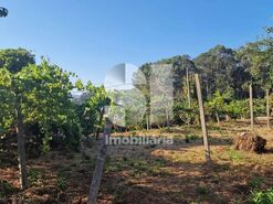 Terreno R�stico T0 - Astromil, Paredes, Porto - Miniatura: 4/46