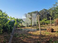 Terreno R�stico T0 - Astromil, Paredes, Porto - Miniatura: 5/46