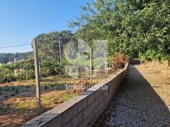 Terreno R�stico T0 - Astromil, Paredes, Porto - Miniatura: 6/46