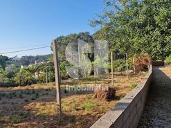 Terreno R�stico T0 - Astromil, Paredes, Porto - Miniatura: 7/46