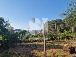 Terreno R�stico T0 - Astromil, Paredes, Porto - Miniatura: 8/46