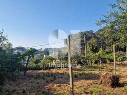 Terreno R�stico T0 - Astromil, Paredes, Porto - Miniatura: 9/46