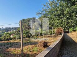 Terreno R�stico T0 - Astromil, Paredes, Porto - Miniatura: 10/46