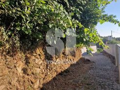 Terreno R�stico T0 - Astromil, Paredes, Porto - Miniatura: 11/46