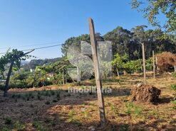 Terreno R�stico T0 - Astromil, Paredes, Porto - Miniatura: 12/46