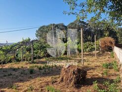 Terreno R�stico T0 - Astromil, Paredes, Porto - Miniatura: 14/46
