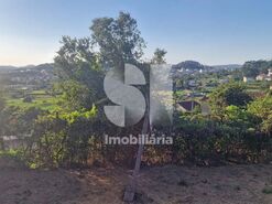 Terreno R�stico T0 - Astromil, Paredes, Porto - Miniatura: 18/46