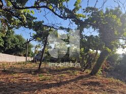 Terreno R�stico T0 - Astromil, Paredes, Porto - Miniatura: 19/46