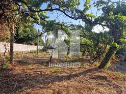 Terreno R�stico T0 - Astromil, Paredes, Porto - Miniatura: 20/46