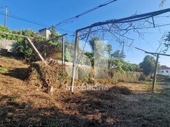 Terreno R�stico T0 - Astromil, Paredes, Porto - Miniatura: 21/46