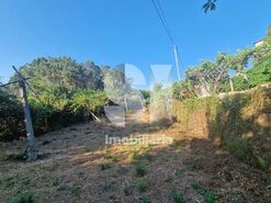 Terreno R�stico T0 - Astromil, Paredes, Porto - Miniatura: 27/46